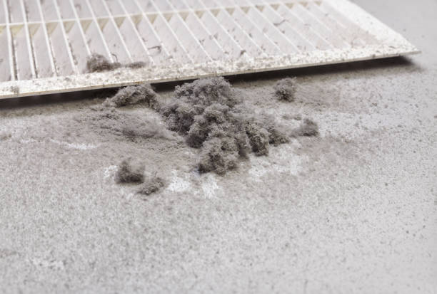 Best Residential Air Duct Cleaning  in Washburn, IL