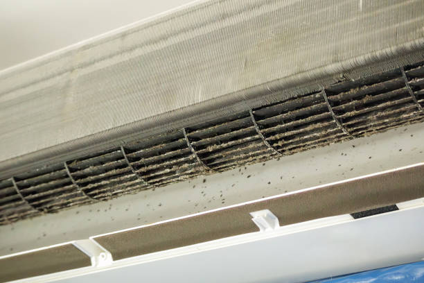 Best Professional Duct Cleaning Services  in Washburn, IL